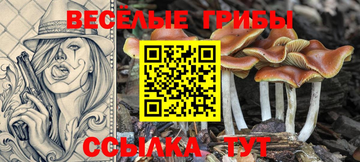 Краснодар  Галлюциногенные грибы прущие грибы  Вход с VPN 