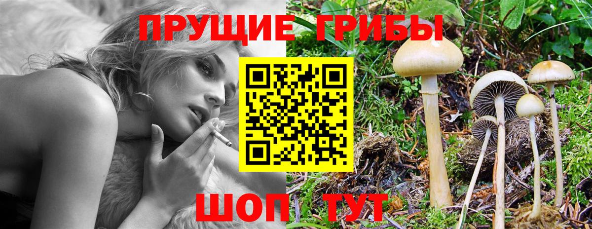 Псилоцибиновые грибы ЛСД Краснодар